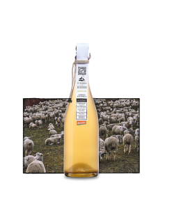 Lunaria Ancestrale Pecorino Spumante – Cantina di Orsogna 750ml
