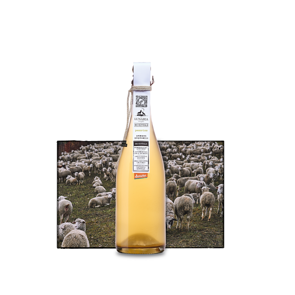 Lunaria Ancestrale Pecorino Spumante – Cantina di Orsogna 750ml - Image 2