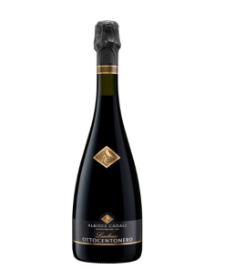 OTTOCENTONERO Lambrusco IGT – Albinea Canali