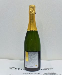 “Le Nebbie” Spergola Brut Spumante Emilia IGP – Anna Beatrice