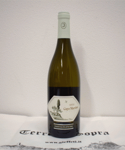 “Capo Martino” IGT 2021 – Jermann