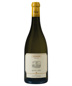 Cervaro della Sala 2023 Umbria Igt Castello della Sala