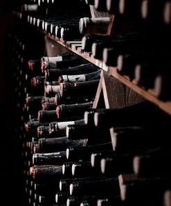 Wine Lovers 6 Bottiglie